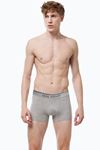 Malabadi Erkek Gri Premium Collection Modal Boxer 252