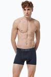 Malabadi Erkek Füme Premium Collection Modal Boxer 252